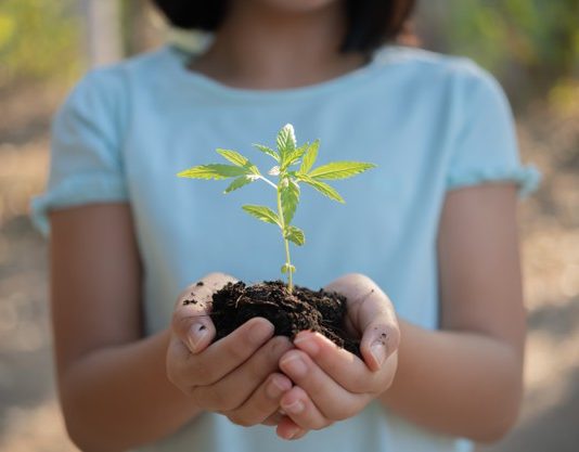 School of Universe Membangun Kepekaan Siswa untuk Merawat Alam Sumber gambar: freepik.com